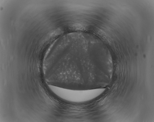 X0000088400643200706191358