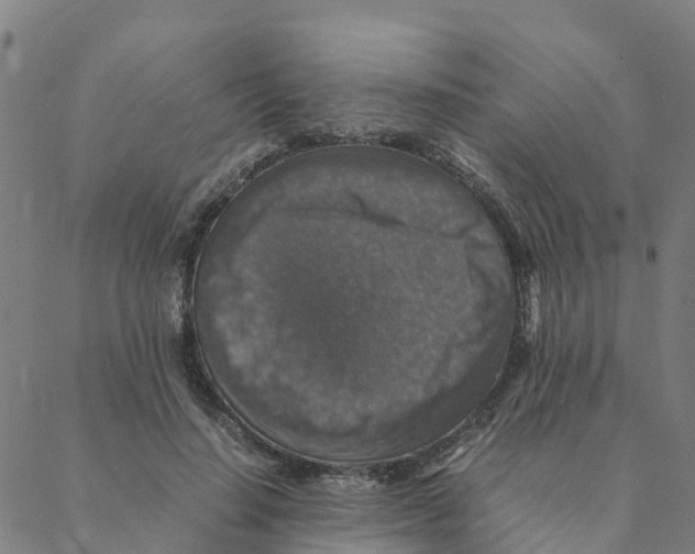 X0000088400644200706191358