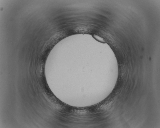 X0000088400645200706191358