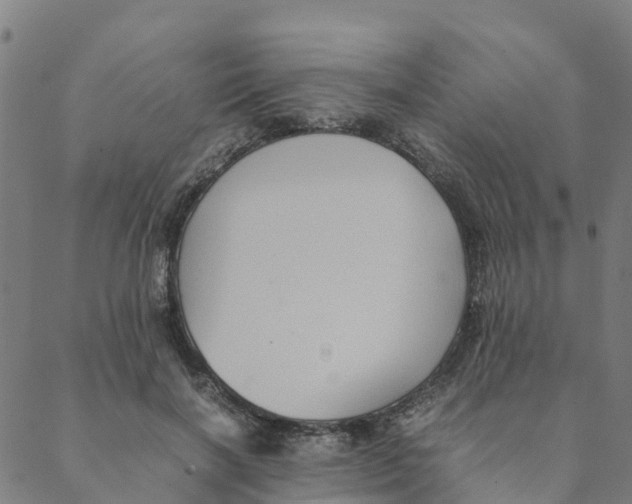 X0000088400646200706191358