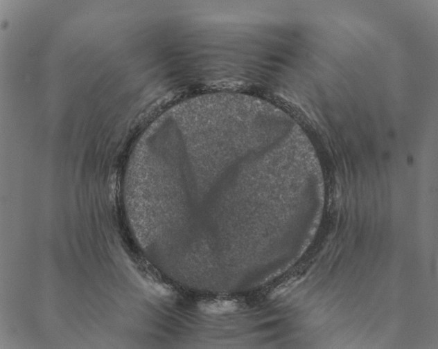 X0000088400647200706191358