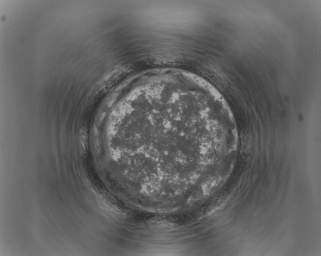 X0000088400648200706191358