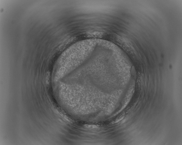 X0000088400649200706191358