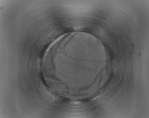 X0000088400650200706191358