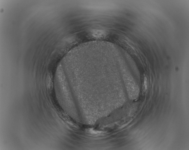 X0000088400651200706191359