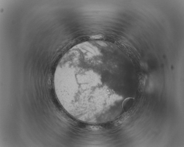 X0000088400654200706191359