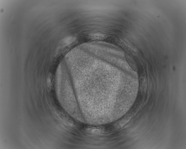 X0000088400655200706191359