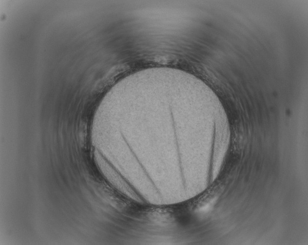 X0000088400656200706191359