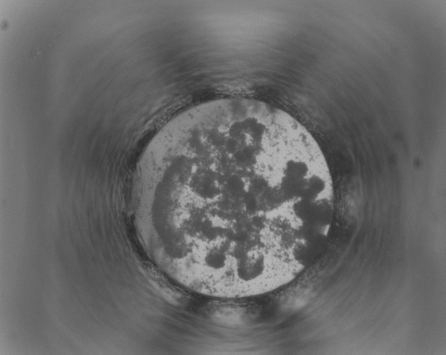 X0000088400658200706191359