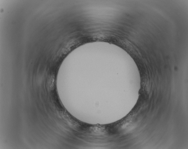 X0000088400660200706191359