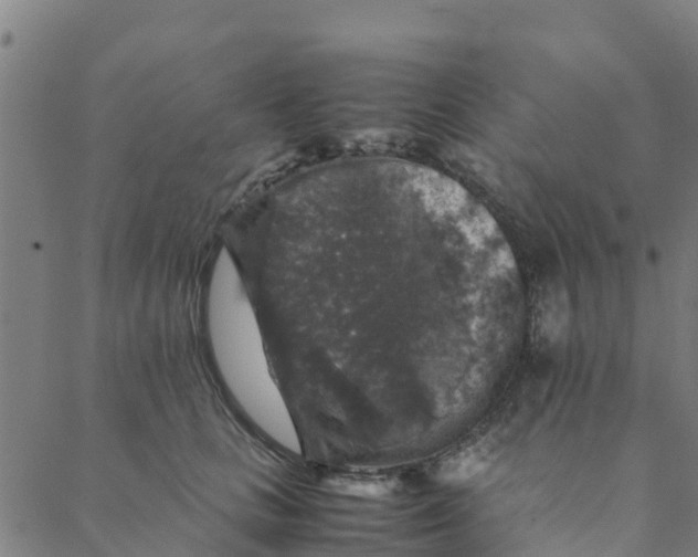 X0000088400661200706191359