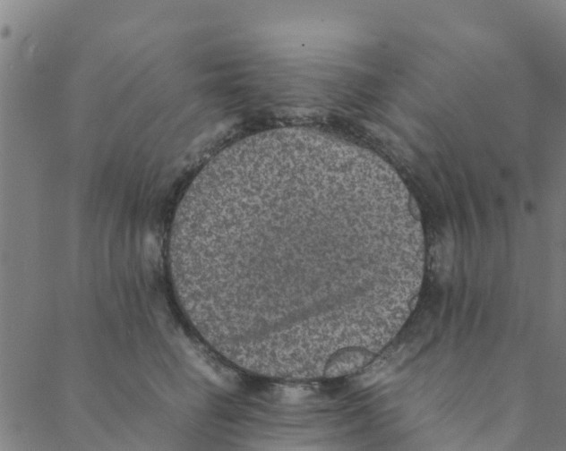 X0000088400662200706191359