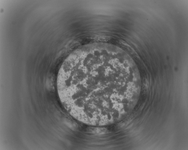 X0000088400663200706191359