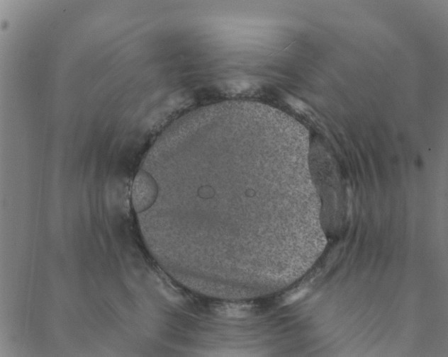 X0000088400664200706191359