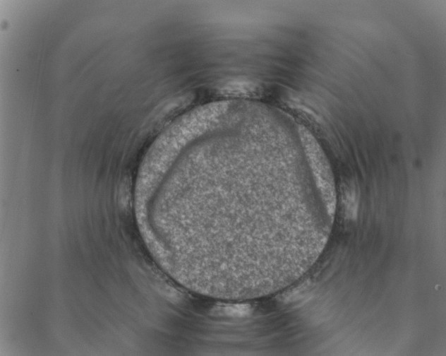 X0000088400665200706191359