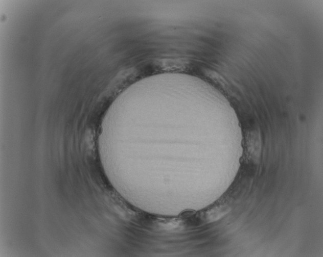 X0000088400667200706191359