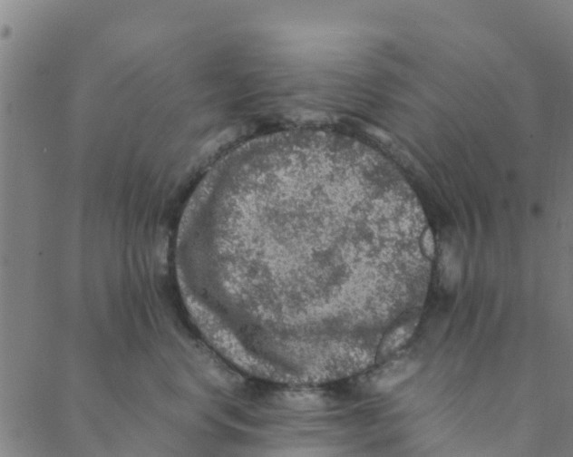 X0000088400668200706191359