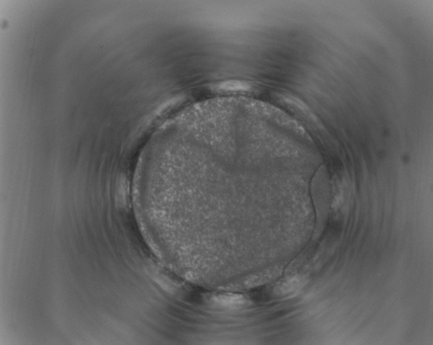 X0000088400669200706191359