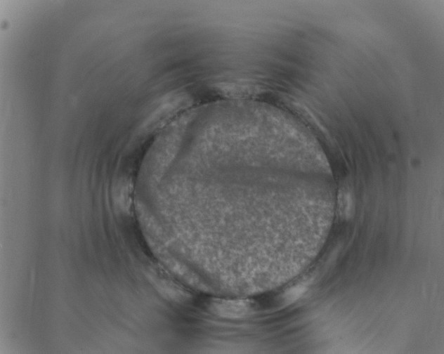 X0000088400671200706191359