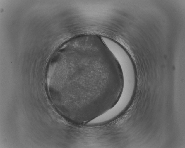 X0000088400673200706191358