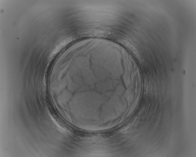 X0000088400674200706191358