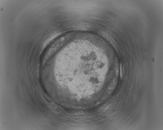 X0000088400675200706191358