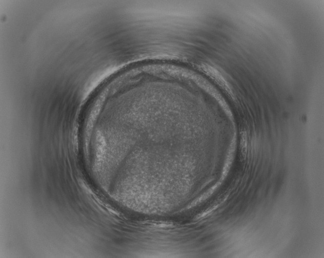 X0000088400676200706191358