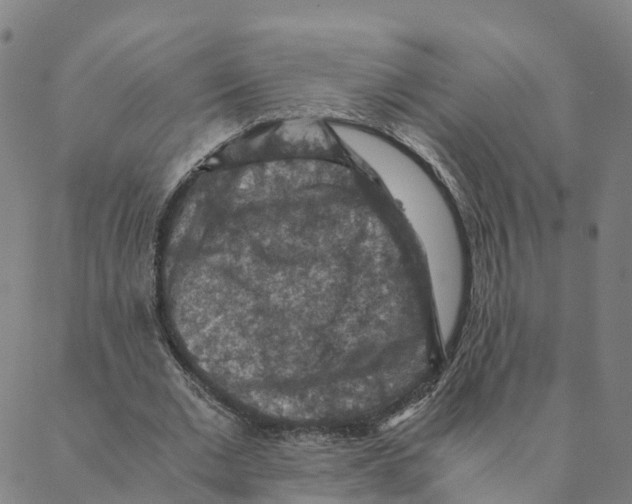 X0000088400677200706191358