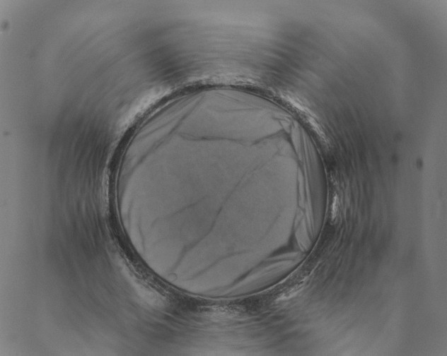 X0000088400678200706191358