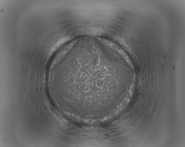 X0000088400679200706191358