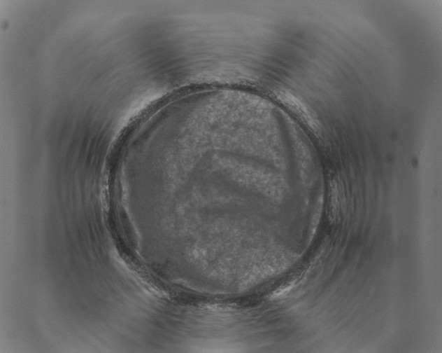 X0000088400680200706191358