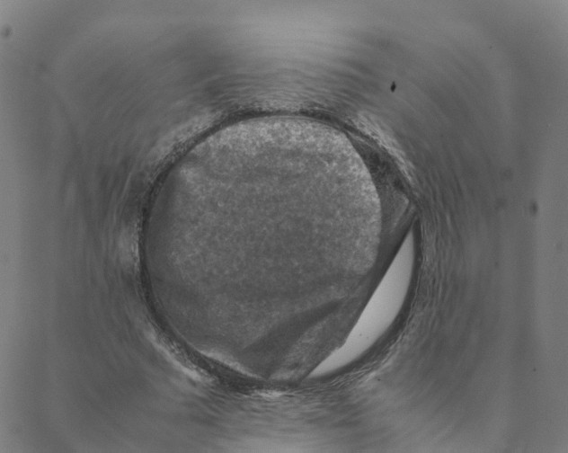 X0000088400681200706191358