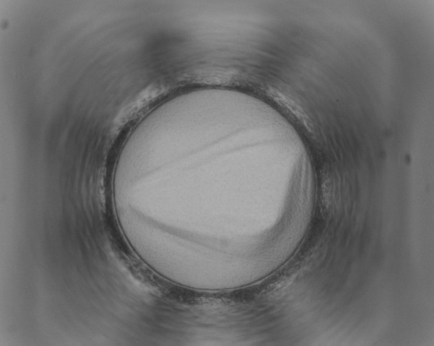 X0000088400682200706191358