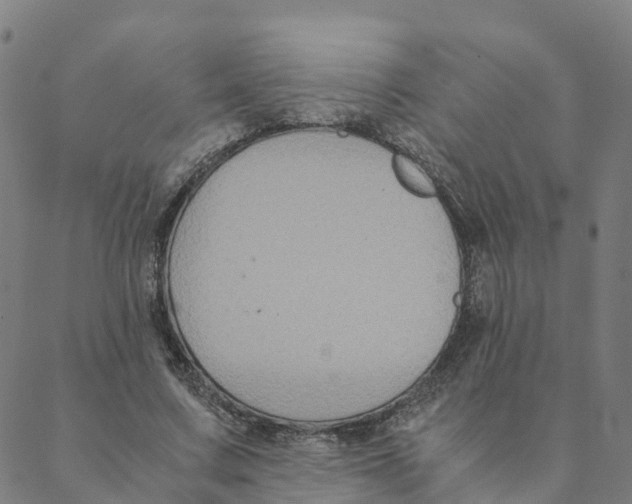 X0000088400683200706191358