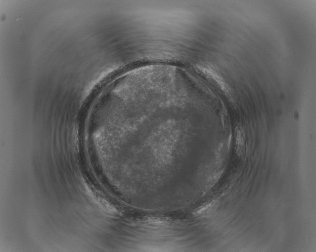 X0000088400684200706191358