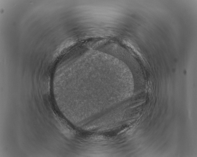 X0000088400685200706191358