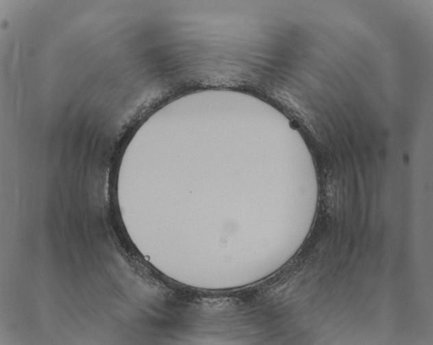 X0000088400686200706191358