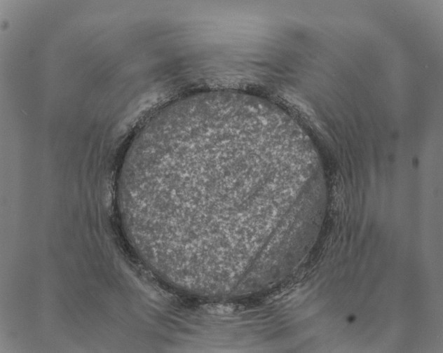 X0000088400687200706191358