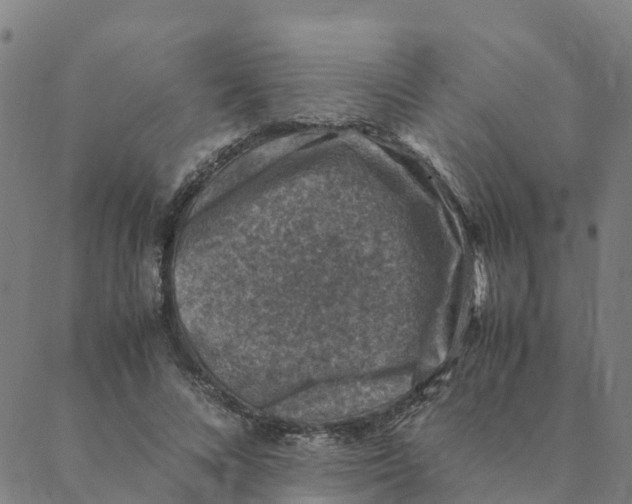 X0000088400688200706191358