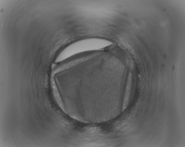 X0000088400689200706191358