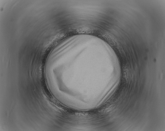 X0000088400690200706191358