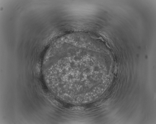 X0000088400691200706191358