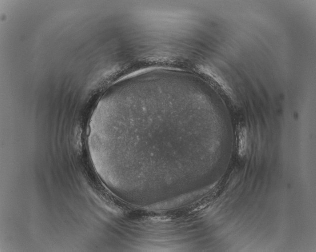 X0000088400692200706191358