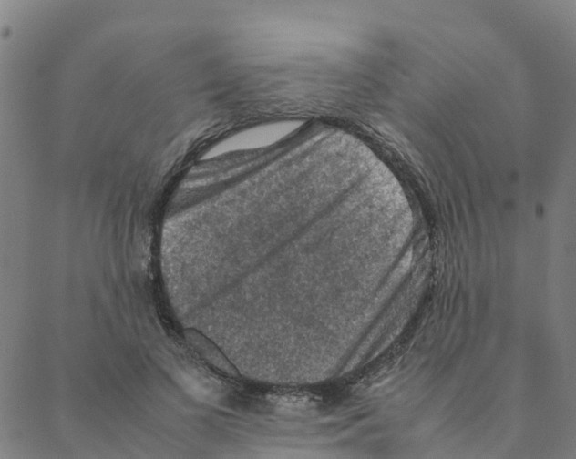 X0000088400693200706191358