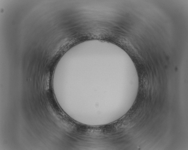 X0000088400694200706191358