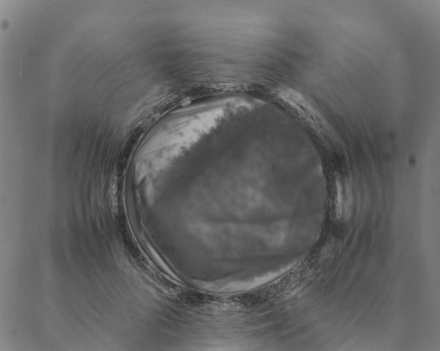 X0000088400696200706191358