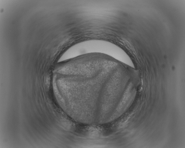 X0000088400697200706191358