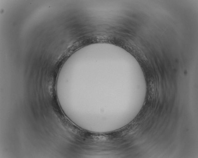 X0000088400698200706191358