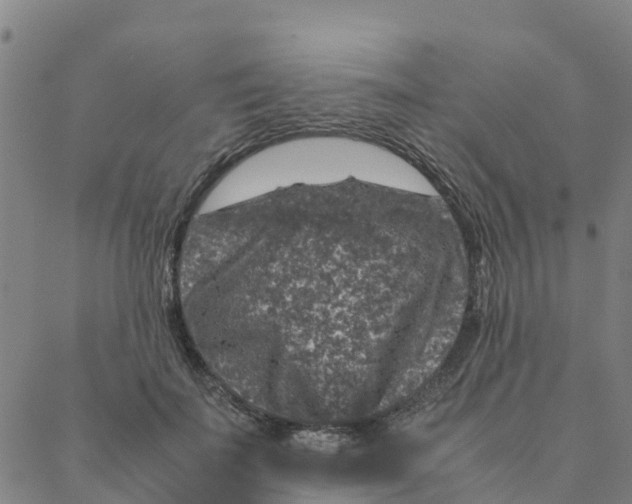 X0000088400699200706191358