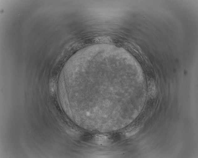 X0000088400701200706191358